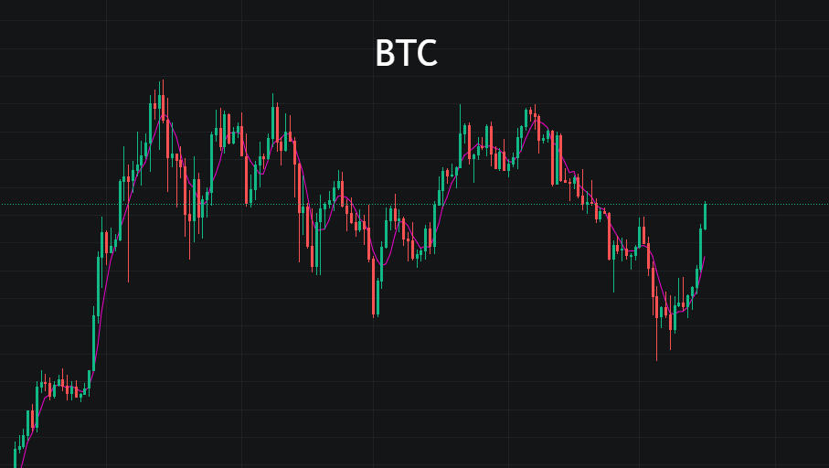 BTC回65000，山寨市场大反弹