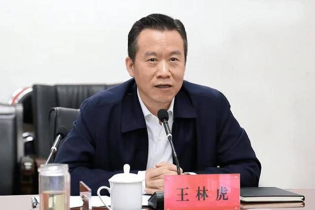 王林虎跨省履新，任湖北省委常委、省委政法委书记