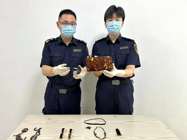 审美还是太超前了！杭州海关查获10件玳瑁制品
