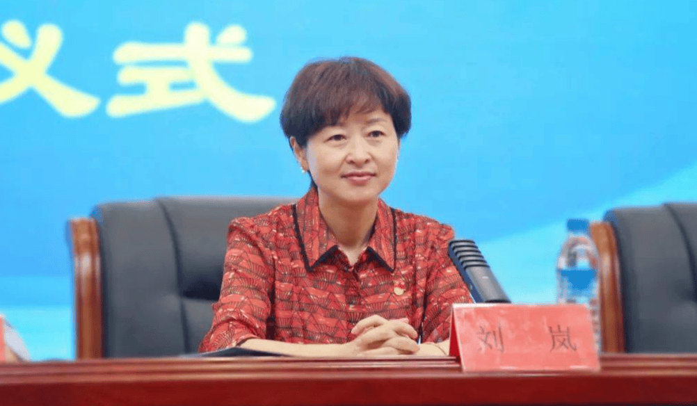 贵阳市原副市长刘岚被“双开” 此前任上被查，长期在卫生系统任职